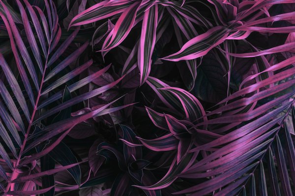 Le guide ultime pour choisir un photographe événementiel à lyon